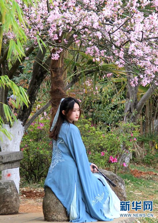 花红柳绿春意浓,汉服佳人入画来。(新华网 念新洪 摄)