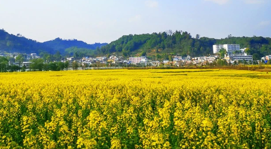 (土陶古驿 金色水乡)