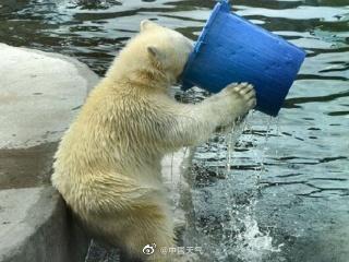 图片来源于@中国天气