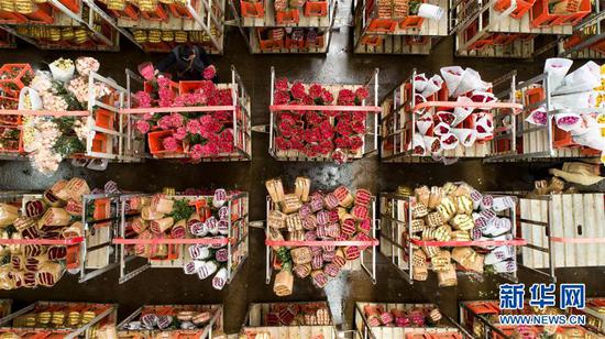 2月12日,在中国云南昆明斗南国际花卉拍卖交易中心,花商挑选并记录鲜花编号,以便在拍卖开始后竞拍。 新华社记者 江文耀 摄