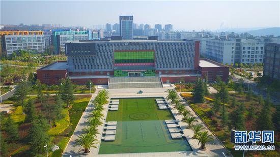 鲜花绽放春满校园。新华网 马航 摄