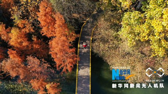 航拍洱海生态廊道一隅(2020年12月9日摄)。新华网 赵普凡 摄