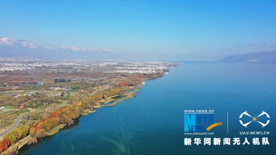 航拍大理洱海生态廊道(2020年12月9日摄)。新华网 赵普凡 摄