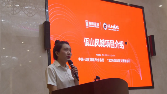临沧海诚文化旅游发展有限公司作佤山凤城旅游综合体项目推介