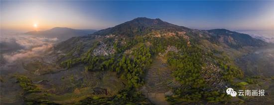 参赛作品 万亩良田盘山绕 张红艳/摄