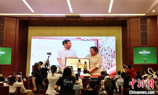 图为发布会现场。 龙彦 摄