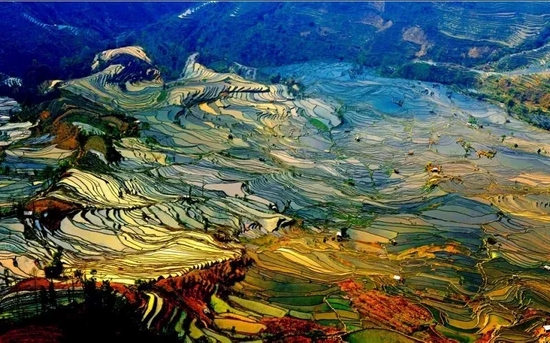 元阳哈尼梯田(元阳县委宣传部供图)