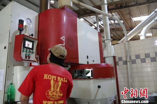 图为工人正电脑操作炒制咖啡。林永传 摄