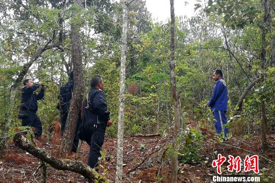 图为民警带犯罪嫌疑人指认现场