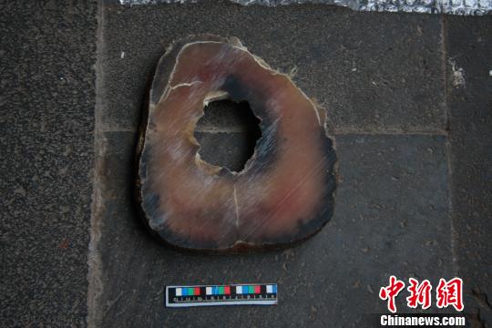 图为查获的犀牛角 丁银 摄