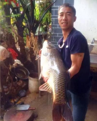 好大的鱼