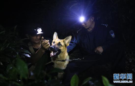 训导员带警犬进行夜训。(新华网 赵普凡 摄)