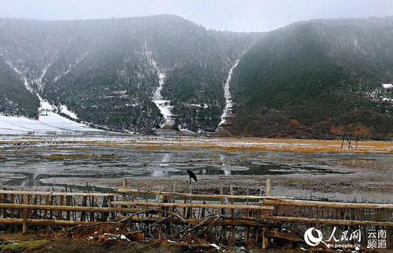 纳帕海雪景。迪庆州旅发委供图