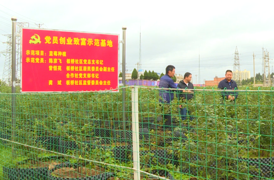 党员创业示范基地