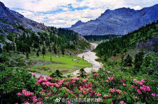 美丽的巴拉格宗(图片来自:微博@巴拉格宗风景名胜区)