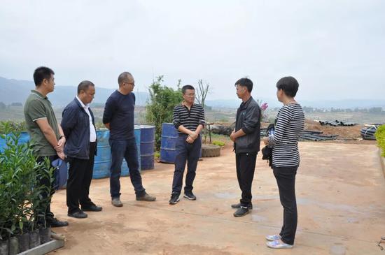 ▲调研建水优加优农业发展有限公司种植基地