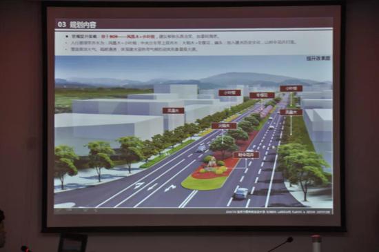 重要城市道路绿化景观提升导则效果图