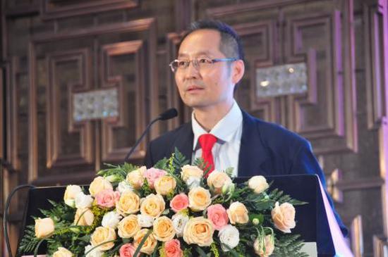 联合国南南合作专家王学平先生发言