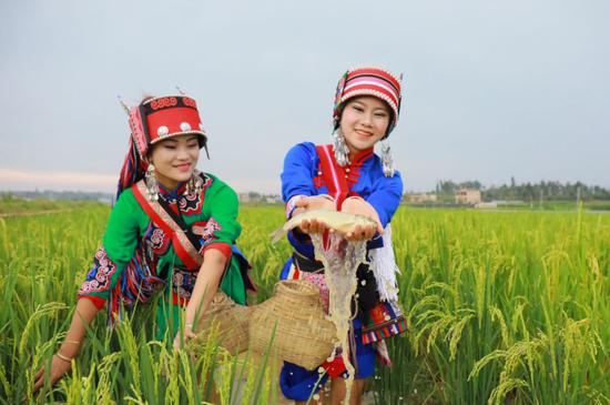 卷起衣袖,亲手捉