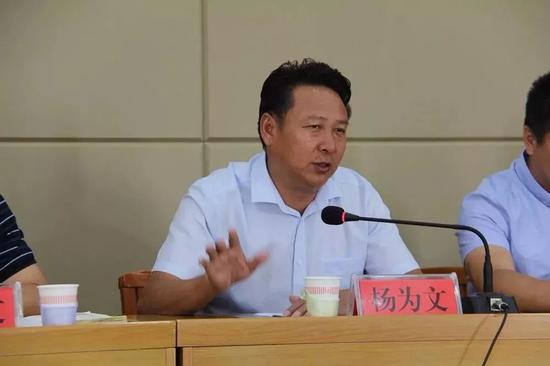 (县委常委、宣传部部长杨为文讲话)