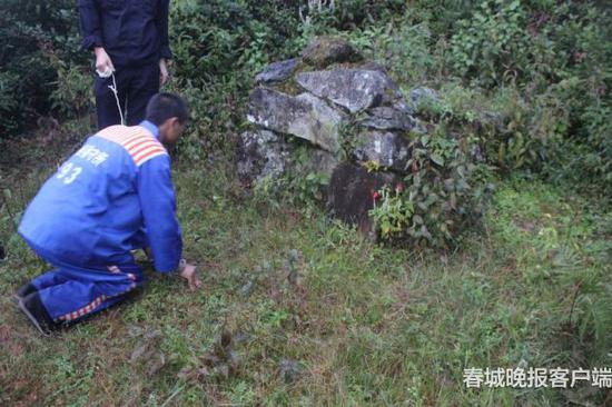 徐某某在自家祖坟前给先人叩头谢罪