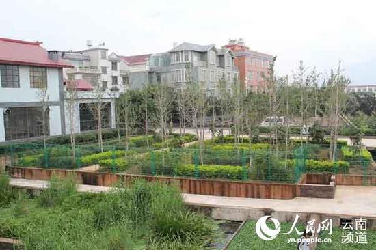 春和街道小白井村统规联建后的环境