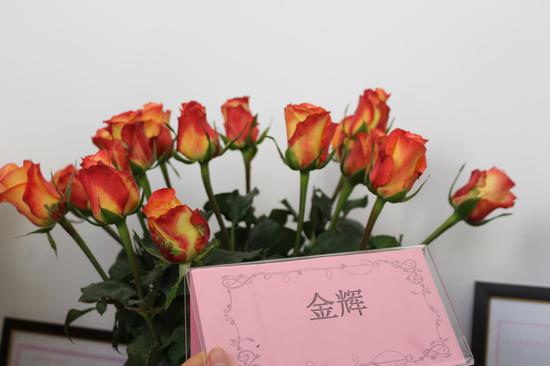 以段金辉名字命名的自主研发品种月季“金辉”