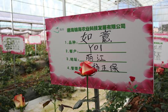 “可视花田认养”新玩法