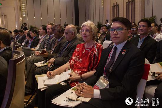第二届中国—南亚合作论坛举行 人民网 薛丹 摄