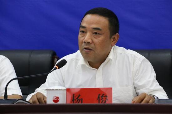 龙陵县人民政府副县长杨俊发言