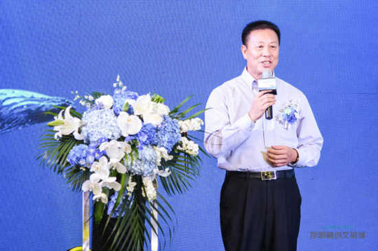 云南省旅游业协会会长袁兵致辞