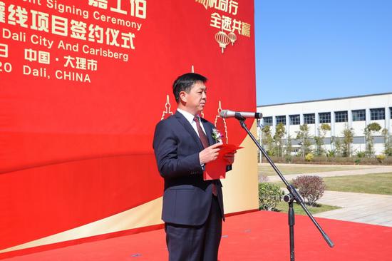 大理市市长杜淑敢致辞