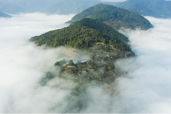 高黎贡山山顶一号咖啡庄园