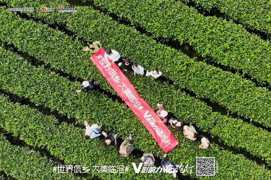 耿马·撒马坝生态茶园