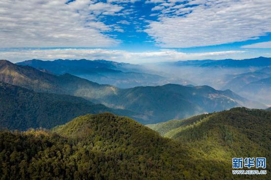 这里是“动物王国”“植物王国”“物种基因库”;这里是中国重要的生物多样性宝库和西南生态安全屏障……七彩云南,山青水绿,地美天蓝,是无数人的“诗和远方”。