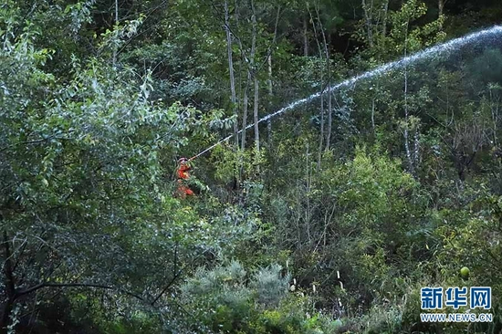 森林消防员在密林中开展水泵灭火演练（摄于11月5日）。新华网发（云南省森林消防总队迪庆大队供图）