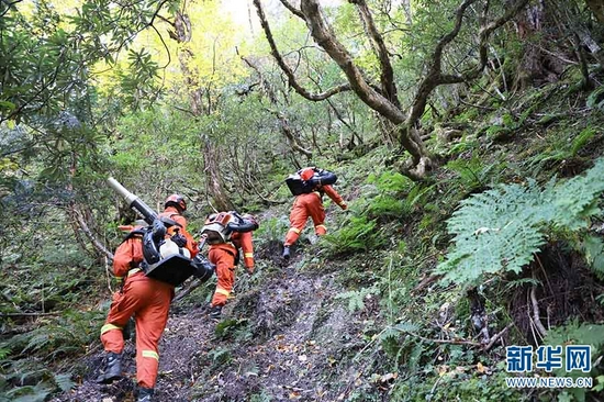 森林消防员携装巡护（摄于11月5日）。新华网发（云南省森林消防总队迪庆大队供图）