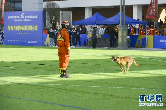 搜救犬训导员项目比赛现场