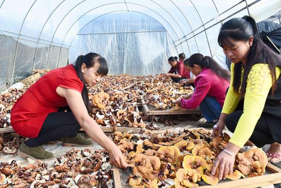 昌宁因地制宜因为制宜发展产业促进农民持续增收