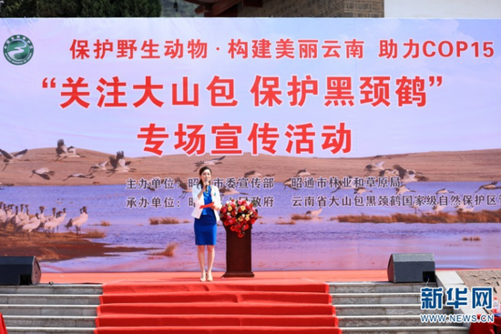 宣传活动现场(3月20日摄)。新华网 赵普凡 摄