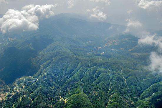 施甸县善洲林场全景