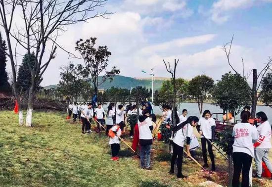 理想科技集团昆明总部集团党员植树现场
