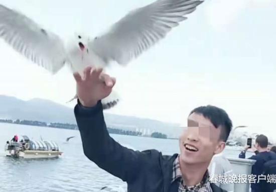 视频截图