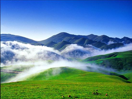 会泽大海草山之春