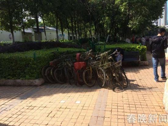 昆明市滇池管理综合行政执法局 供图