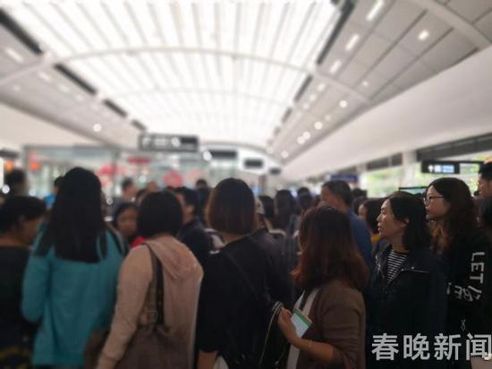 网友供图