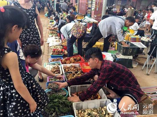 云南最大的野生菌交易市场——木水花野生菌市场热闹非凡。摄影:徐前