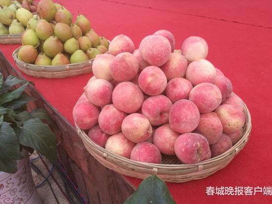 春城晚报记者 夏体雷 摄影报道