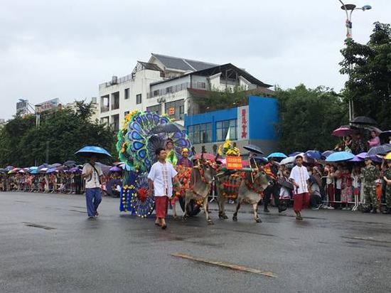 (有趣的“牛车选美” 摄影/方猛)