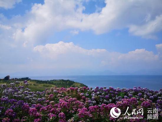 远眺抚仙湖